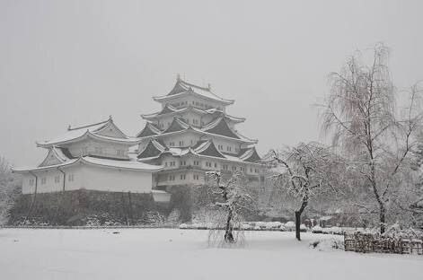 名古屋の雪
