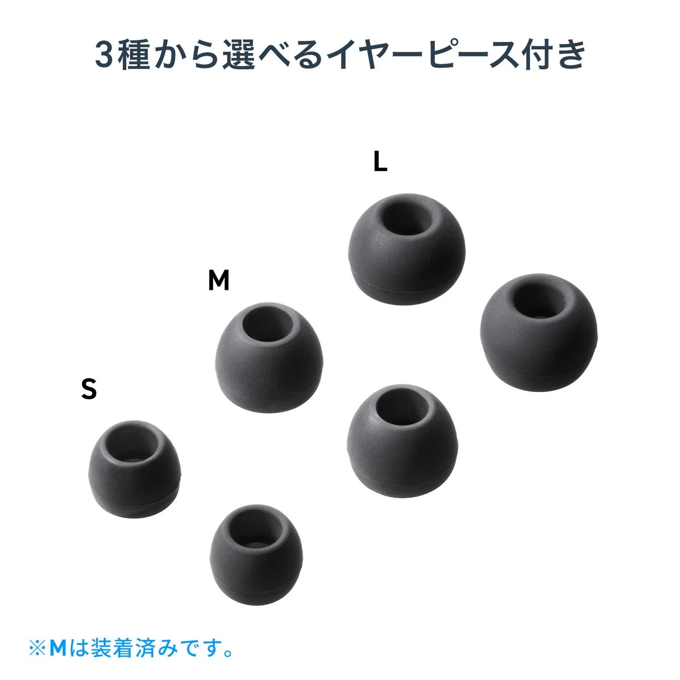 S、M、Lの3種類のサイズの黒いイヤーピース